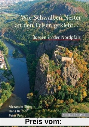 Wie Schwalben Nester an den Felsen geklebt.... Burgen in der Nordpfalz